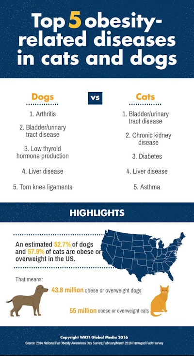 Top_5_obesity-related_diseases_in_cats_and_dogs_INFOGRAPHIC