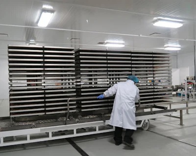freeze-dry-trays