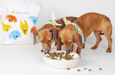 heed-dogs-with-food
