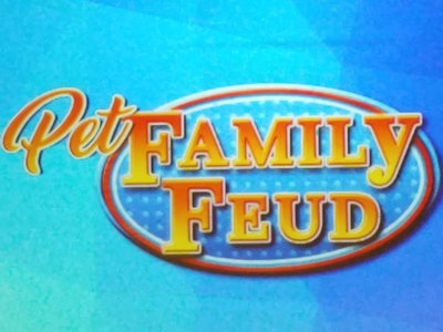 innovation-workshop-family-feud-1704PETpff