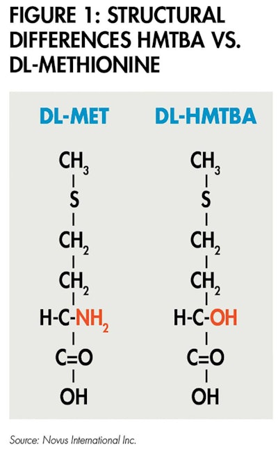 Methionine Structural Differences 1604 Pe Tmethionine Fig1