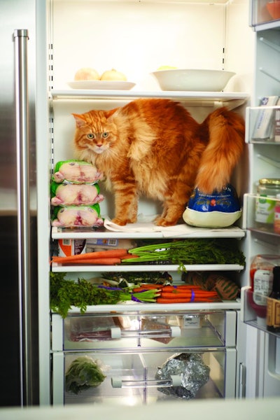 Nacho In Ingredient Fridge