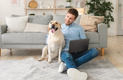online-shopping-with-dog