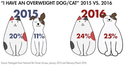overweight-pets
