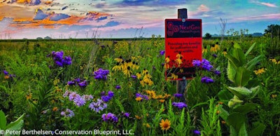 Project Hive Habitat Restoration