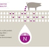 Evonik Biolys