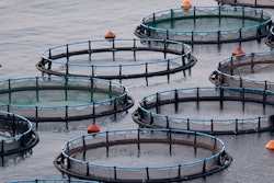 Aquaculture Fish Farm 2