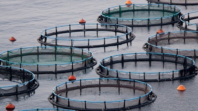 Aquaculture Fish Farm 2