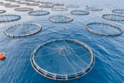 Fish Farm Aquaculture