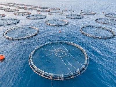 Fish Farm Aquaculture