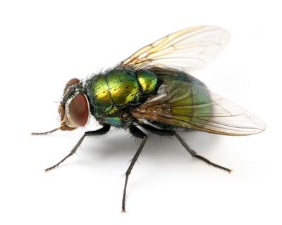 Antagain | iStockPhoto.com