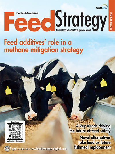 Feed Strategy July/August 2023