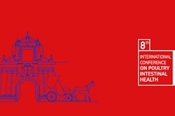 Banner Website Ihsig 2