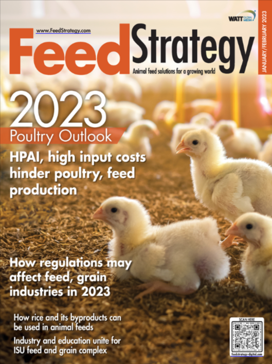 Feed Strategy January/February 2023