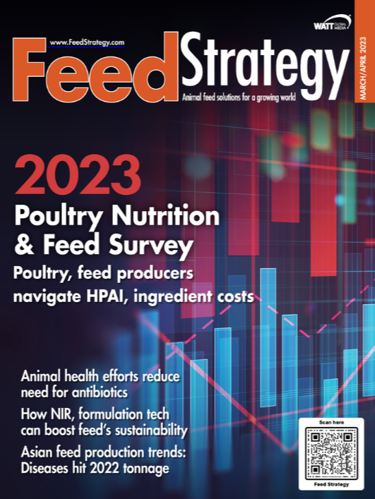 Feed Strategy March/April 2023