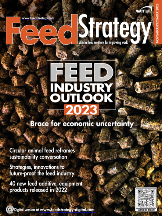 Feed Strategy November/December 2022