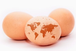 Brown Eggs With Continents