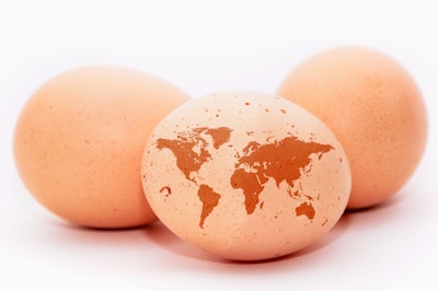 Brown Eggs With Continents