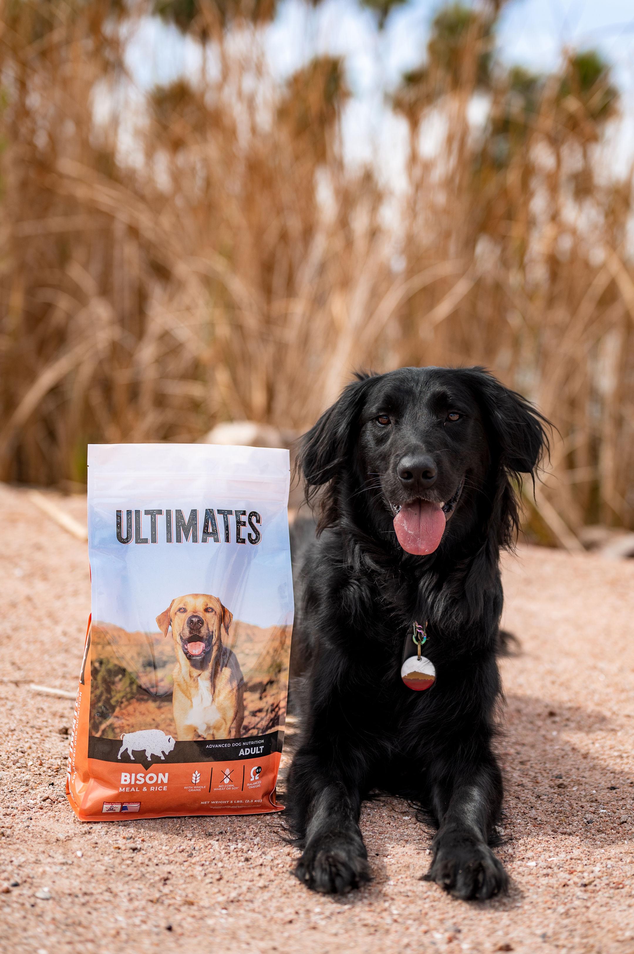 Midwestern Pet Foods Ultimates Bison Recipe