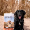 Midwestern Pet Foods Ultimates Bison Recipe