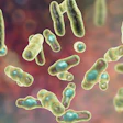 Clostridium Perfringens