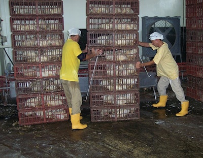 Dragging crates across the floor using hooks will result in them wearing out more quickly, but using a trolley can help to ensure that they last longer.