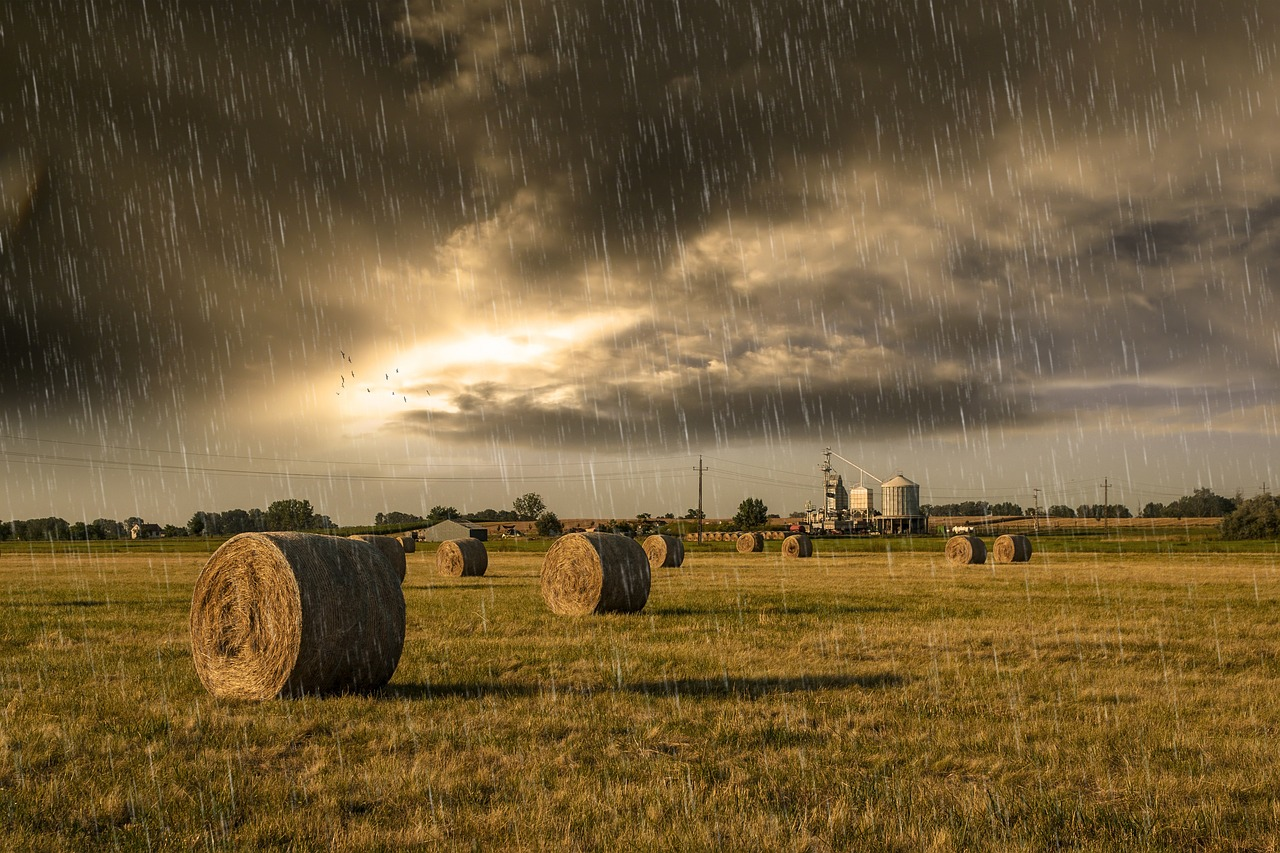Raining On Hay Field In Front Of Facility