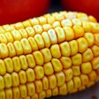 Corn Close Up Matthiasboeckel Pixabay