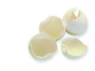 Egg Shells On White