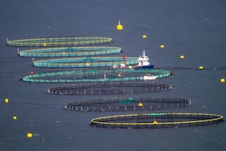 Fish Farming 7557623 1280