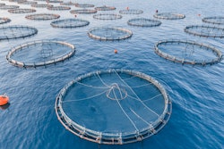 Fish Farm Aquaculture