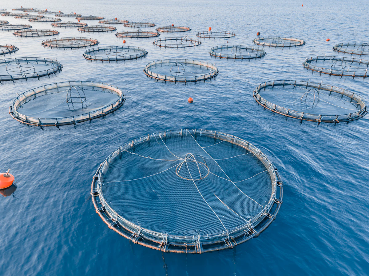 aquaculture
