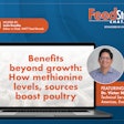 Benefits Beyond Growth How Methionine Levels, Sources Boost Poultry Health Title Card