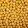Chickpeas