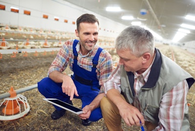 Farmers In Poultry House Checking Technology