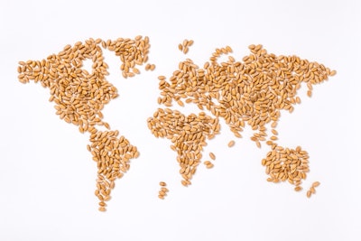World Map Wheat