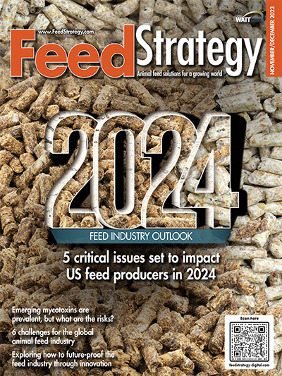 Feed Strategy November/December 2023