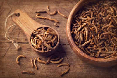 Insect Protein Mealworms