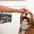 Zesty Paws Healthy Aging