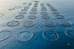 Aquaculture Fish Farm