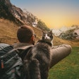 Cat owners are closer than ever to their feline companions, and as a result they’re looking to maximize their animal’s health with the best cat food and treat options out there.