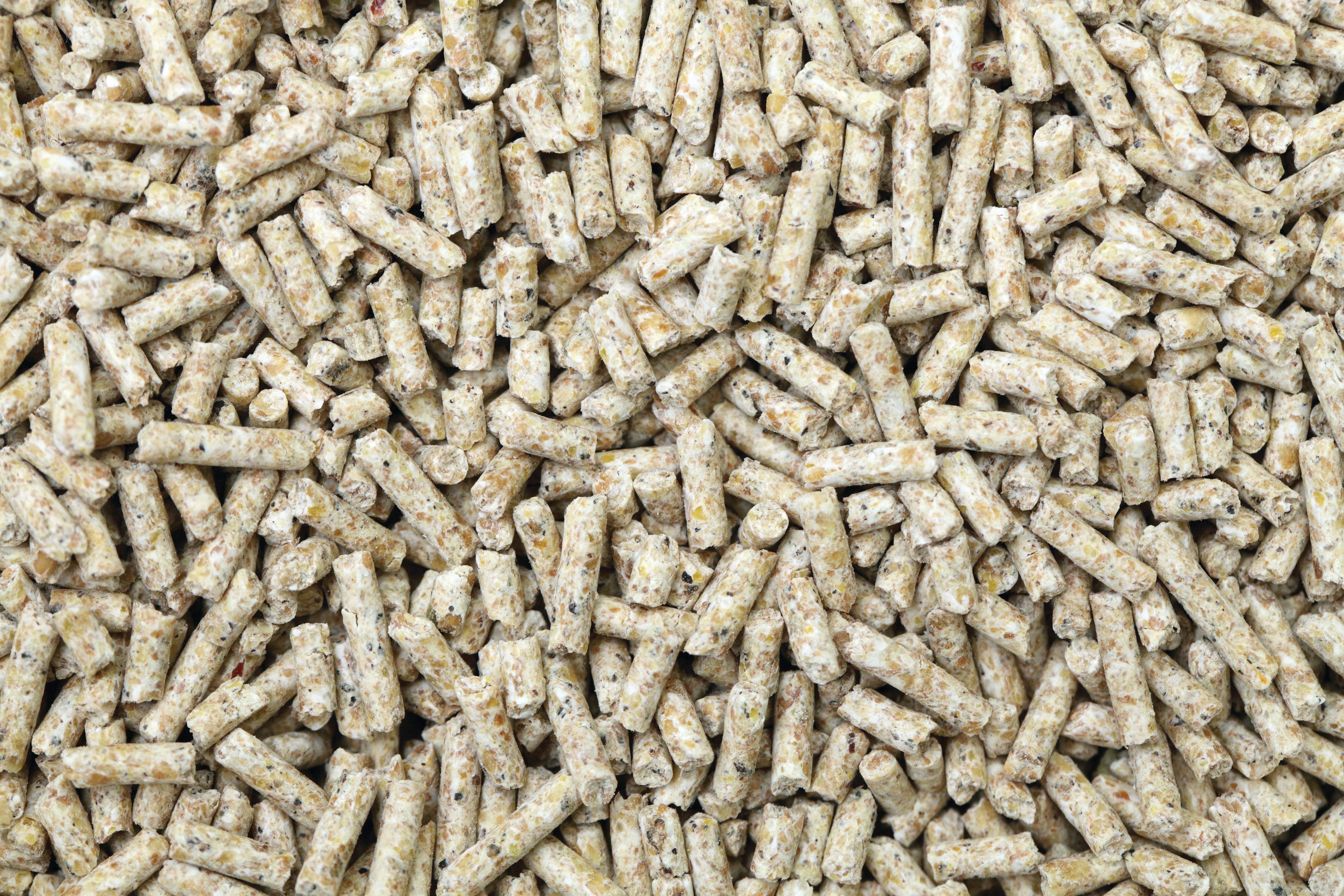 Chicken Feed Pellets
