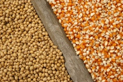 Corn Soybeans