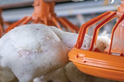 As genetics have changed and moved forward, is the industry keeping up from a nutritional perspective?