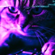Dall·e 2023 11 09 11 48 56 Synthwave Image Of A Cat Using A Computer, The Cat Is A Hacker