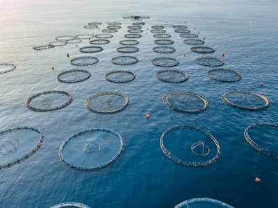 Aquaculture Fish Farm