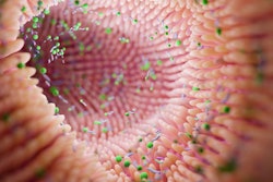 Microbiome Intestine