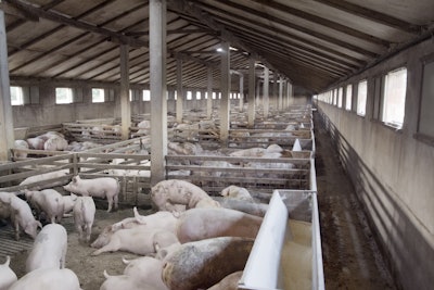 Pig Farm