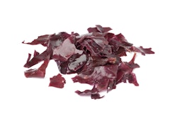 Red Seaweed Dulse