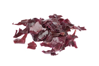 Red Seaweed Dulse